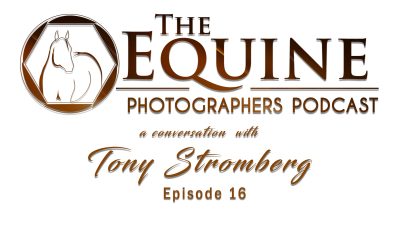 16 : Tony Stromberg: Spirit Horses, Visual Storytelling, and Building an 800,000-Follower Facebook Audience