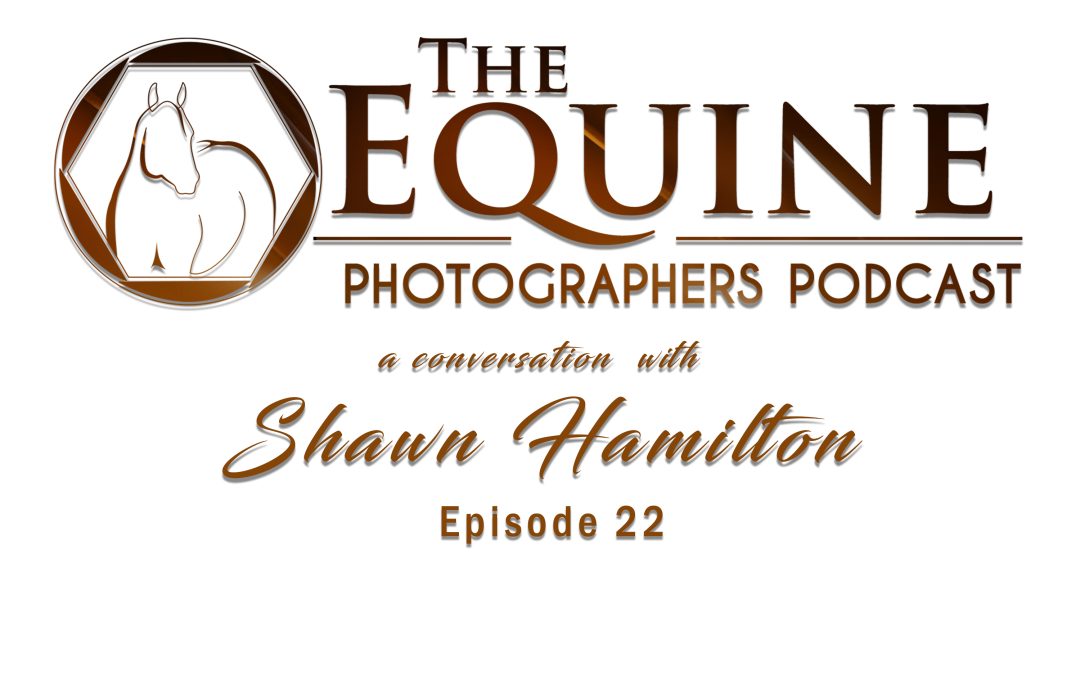 22 : Shawn Hamilton: Editorial and Stock Equine Photography Behind the Work