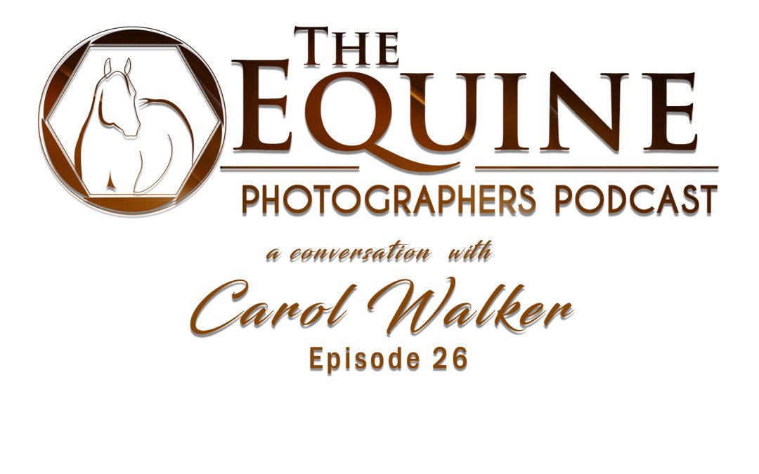 26: Fine Art Equine Photography & Wild Horse Conservation With Carol Walker