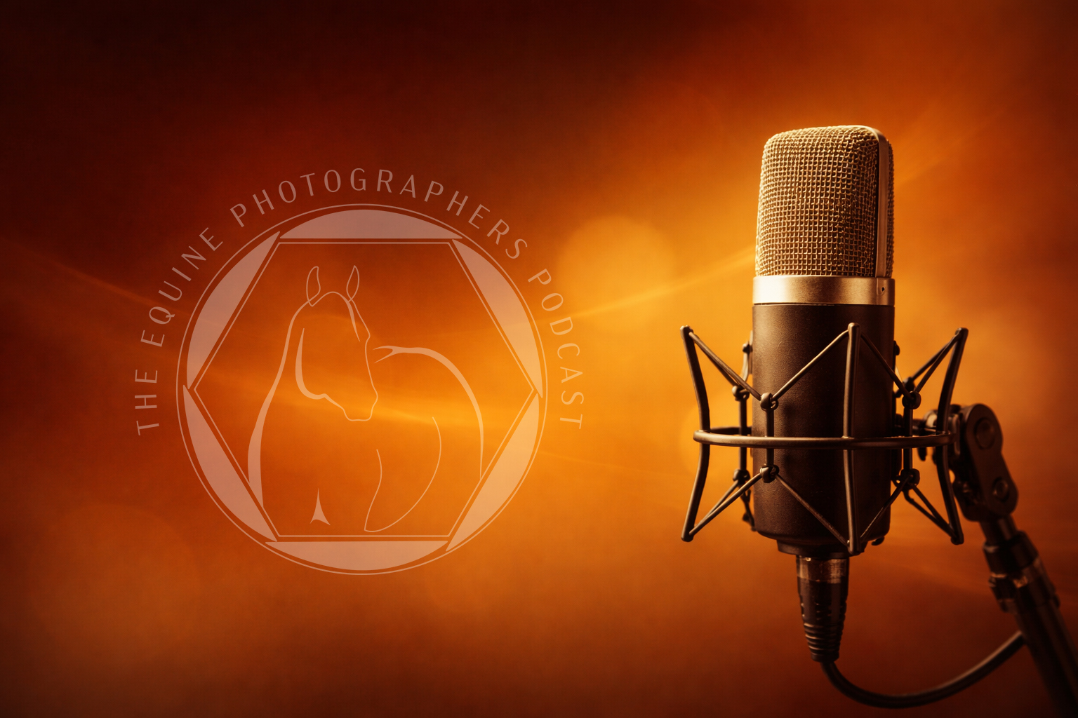 Podcast recording microphone on the right side of a warm brown and amber gradient background, representing thoughtful audio conversations in the equine photography industry.