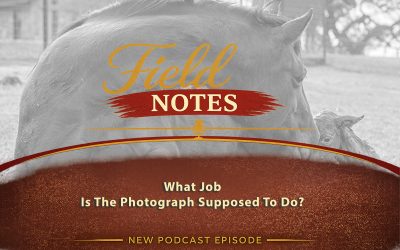 49: Field Notes – What Job Is the Photograph Supposed to Do?